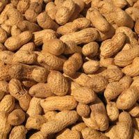 peanuts-