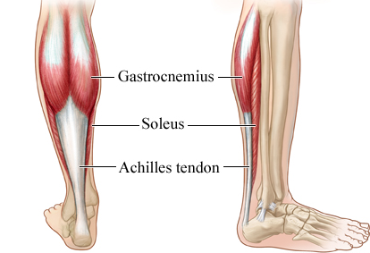 5 Best Leg Workouts | A Beginners Guide for Bulking 7