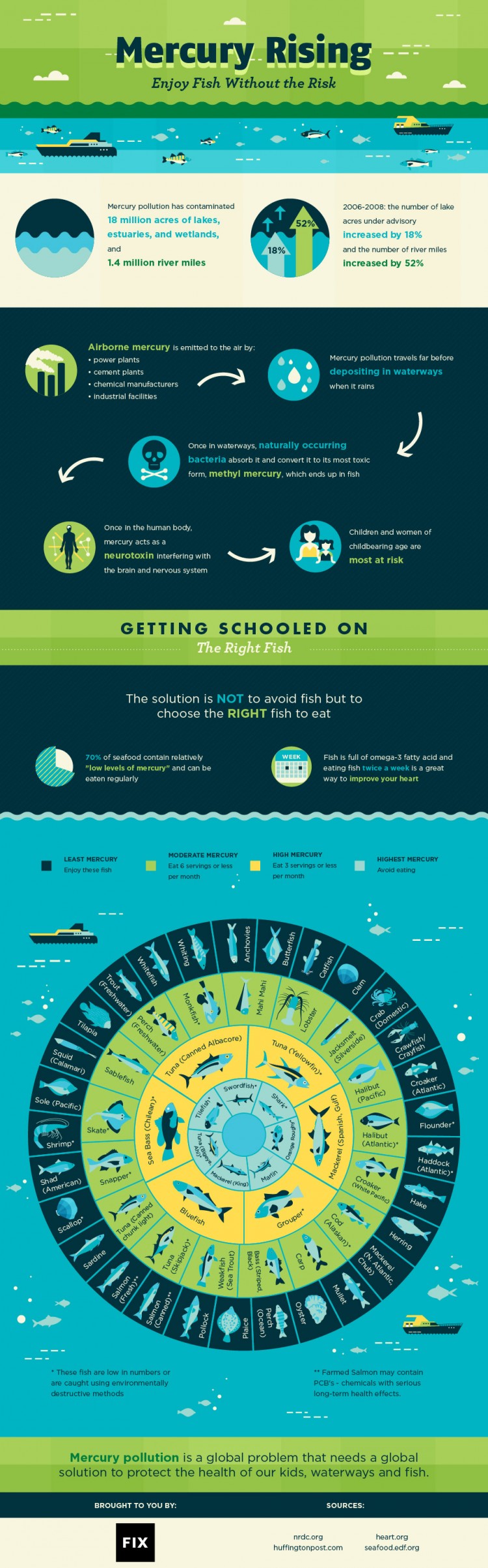 Mercury Rising: Enjoy Fish Without the Risk